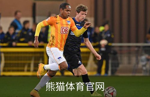熊猫体育官网品牌故事
